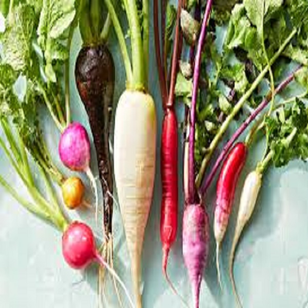 Radish Radish - Image 1