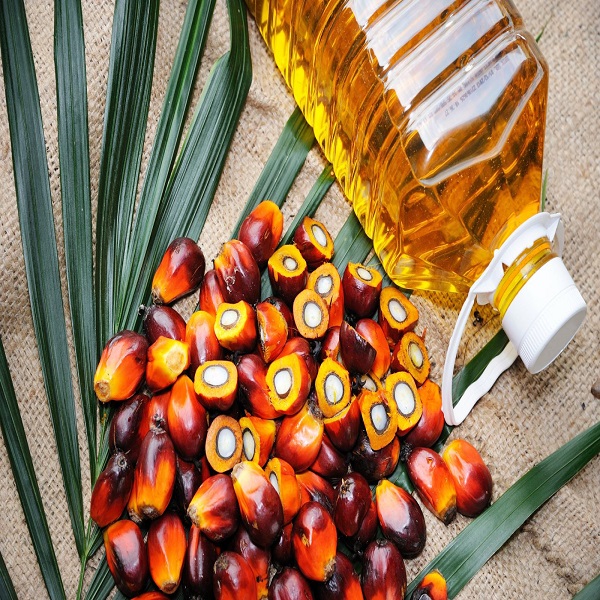 palm oil Palm Oil - Image 1