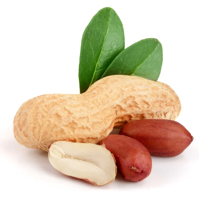 Peanut